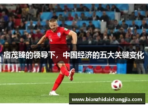 宿茂臻的领导下，中国经济的五大关键变化