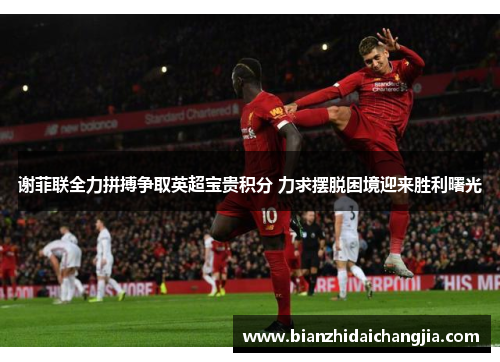 谢菲联全力拼搏争取英超宝贵积分 力求摆脱困境迎来胜利曙光