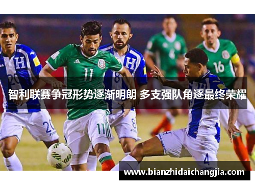 智利联赛争冠形势逐渐明朗 多支强队角逐最终荣耀